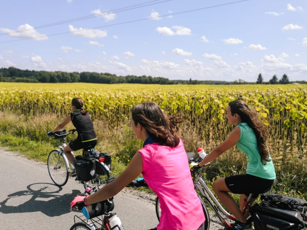 Cicliste su una strada tra i campi di girasoli a Bordeaux, Francia in bici con "Girolibero"